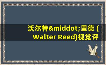 沃尔特·里德 (Walter Reed)视觉评估量表